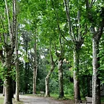 Residenza La Cascata Калольциокорте