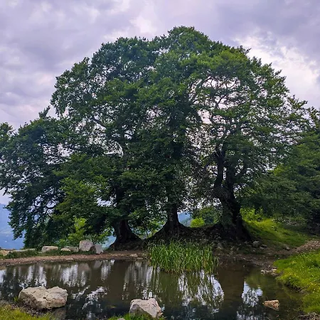 Residenza La Cascata Appartamento