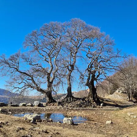 Residenza La Cascata Appartamento Calolziocorte