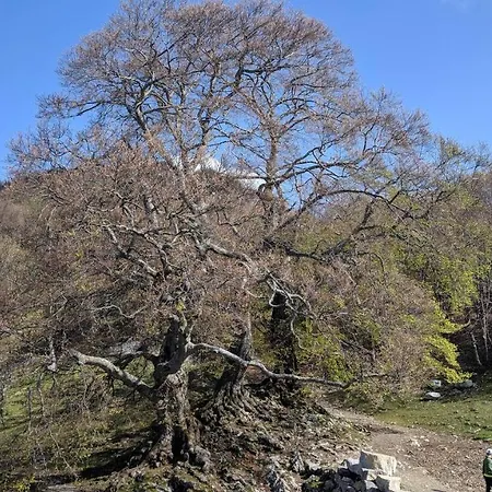 Residenza La Cascata Calolziocorte