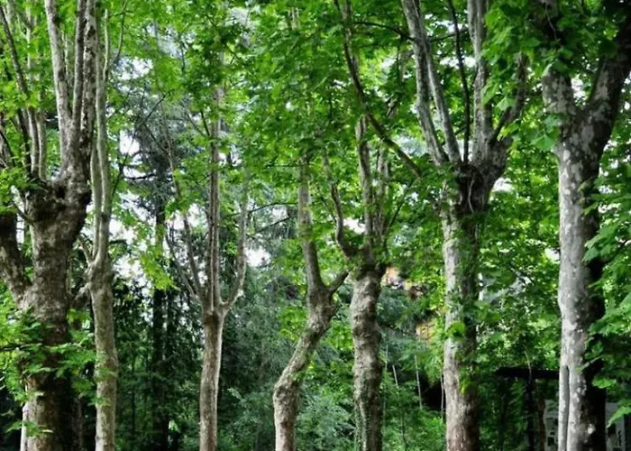 Residenza La Cascata Calolziocorte