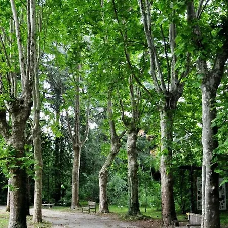 Residenza La Cascata 卡洛泽科泰