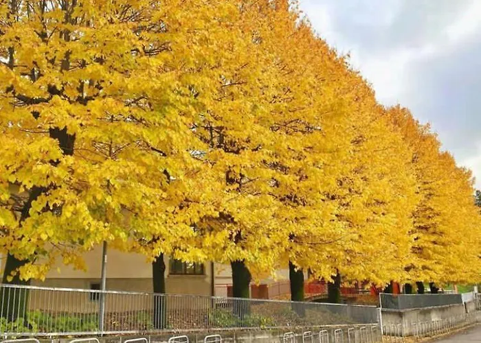 Residenza La Cascata Apartment *